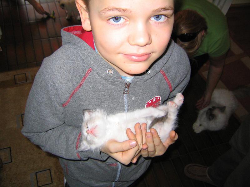 IMG_6474.JPG - Voi kun tää on Isi ihana.....ostetaan tämä , jooko???