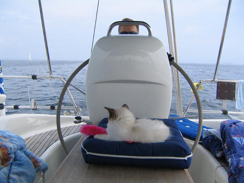 IMG_6566.JPG - Päiväunien aika kaikilla, paitsi Kipparilla