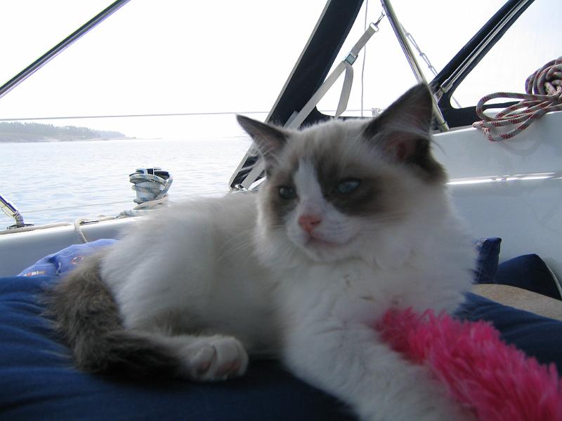 IMG_6569.JPG - Meri-ilma väsyttää