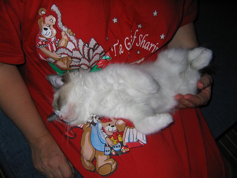 IMG_6596.JPG - Ja taas nukuttaa päivän leikkien jälkeen. Uni tulee muutamassa sekunnissa.