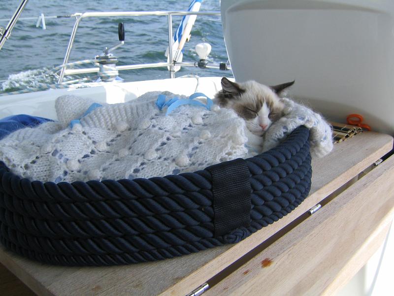 IMG_6678.JPG - Kylmempinä päivänä on hyvä olla peiton alla..