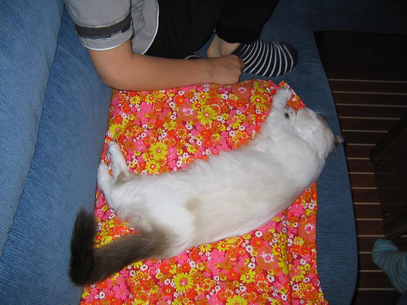 IMG_6679.JPG - Mä putoan...uniin kauneimpiin..